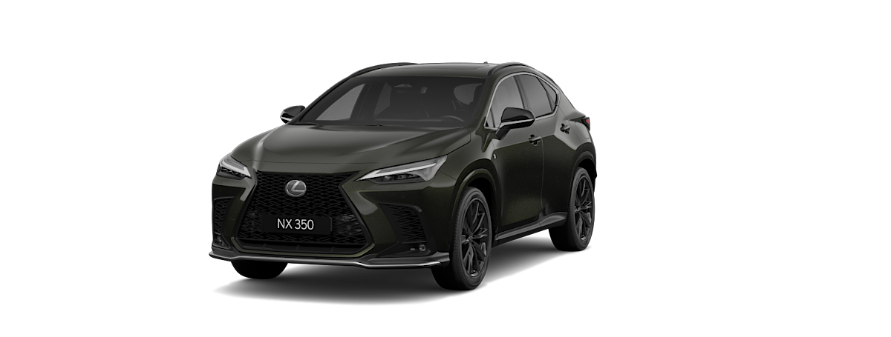 NX 350 F Sport